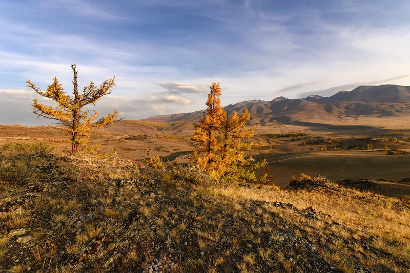 Утро в Курае...photo preview