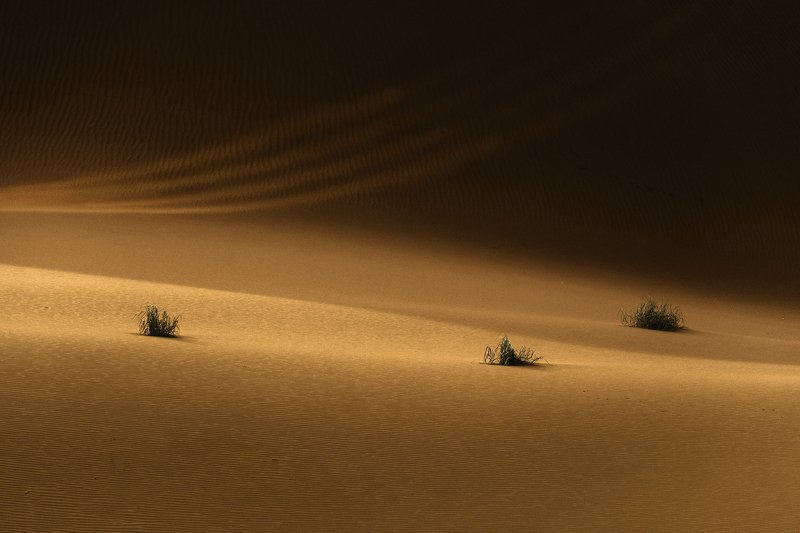 desert Desertphoto preview