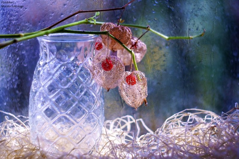 С физалисом.photo preview