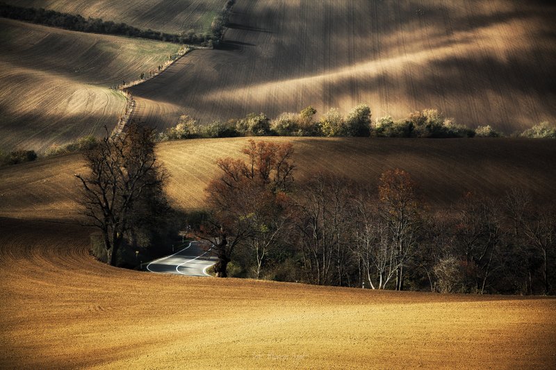 Morava. фото превью