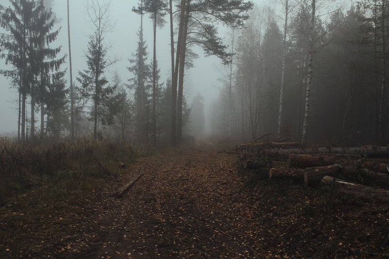 осенняя депрессия часть втораяphoto preview