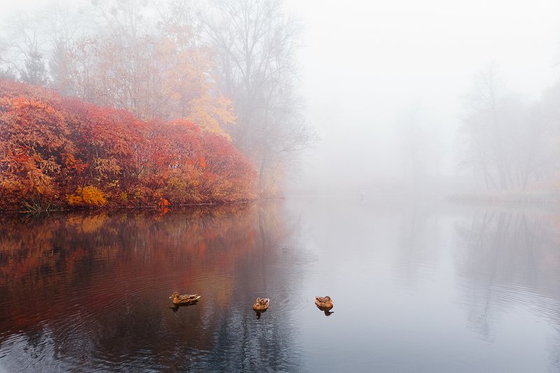 Осень в паркеphoto preview