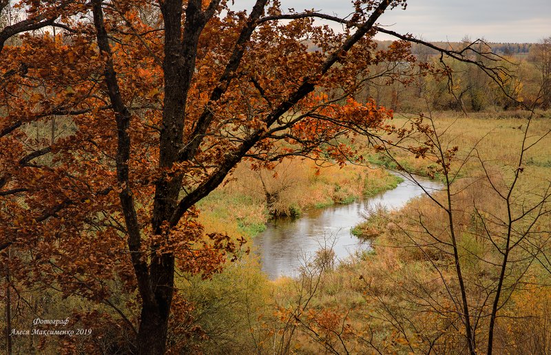 река, Беларусь. photo preview