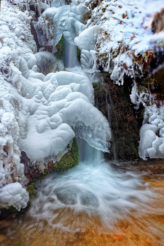 алтай, ледник актру, актру, алтайский край, долина, весна,осень, лиственницы, ледник,ледники Кисельная Река, молочные берега...photo preview
