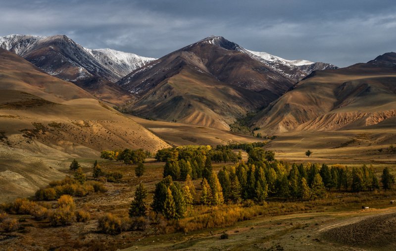 Осенний уголок Алтаяphoto preview