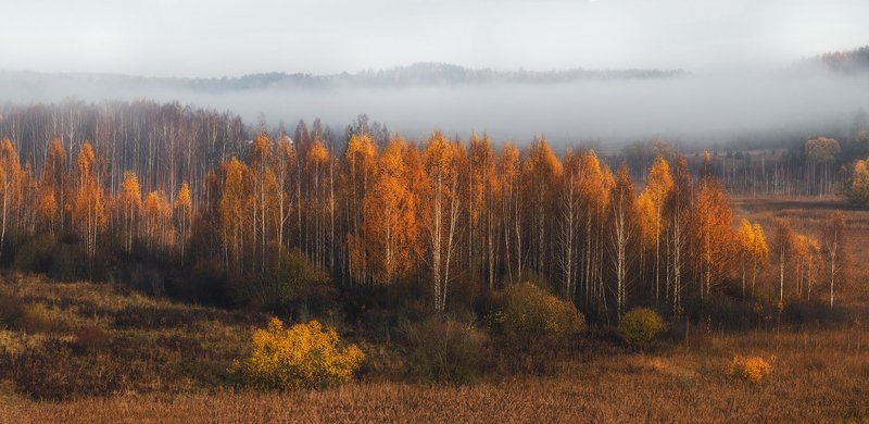 изборск, туман, озеро Изборская осеньphoto preview