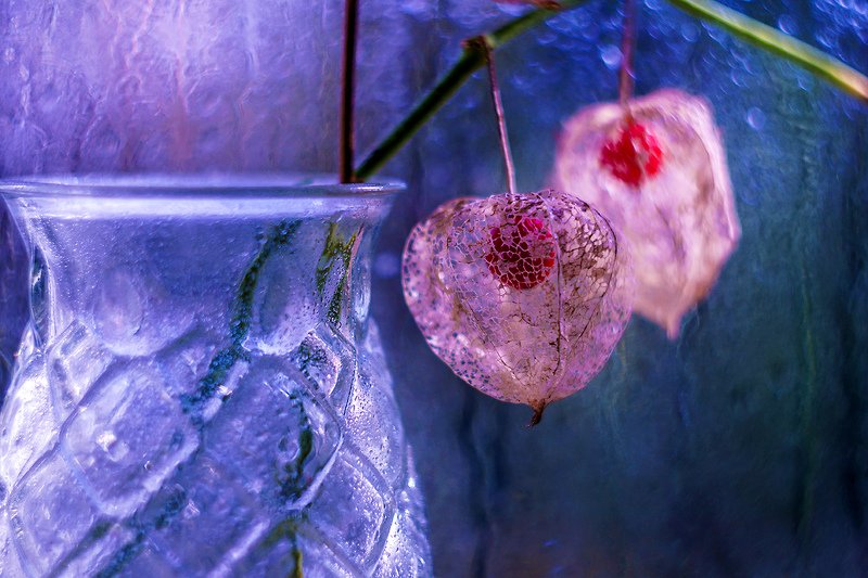 Настроение с физалисом.photo preview