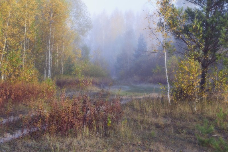 Осенняяphoto preview