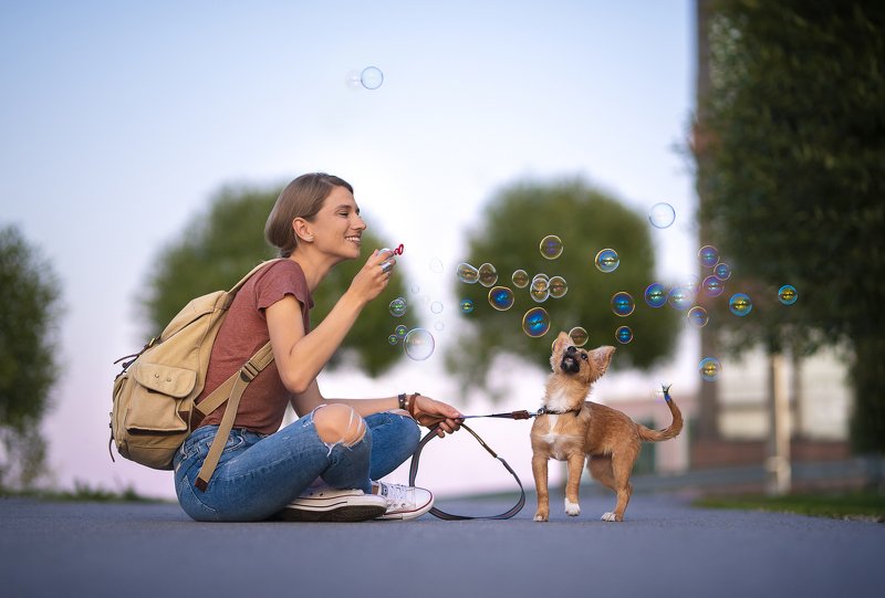 dog, mix-breed, rescue dog Taikaphoto preview