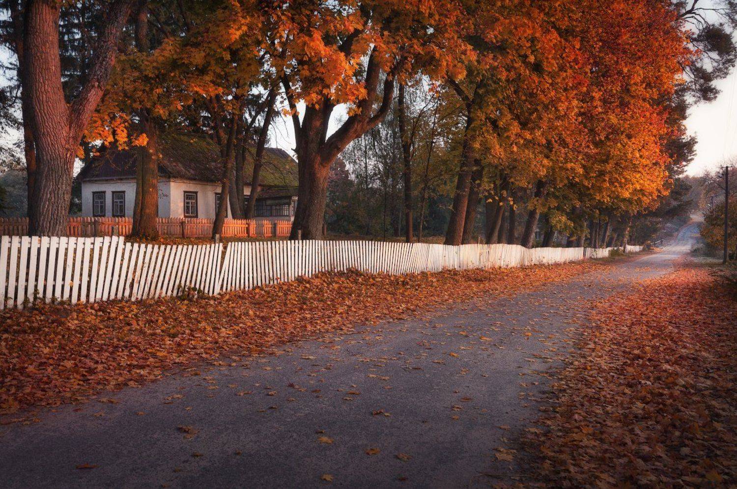 , Жмак Евгений