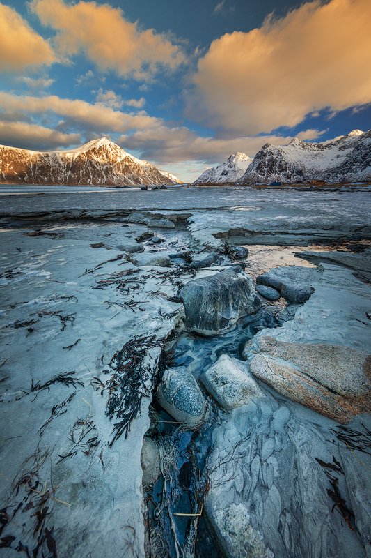 The North ||  На северомphoto preview