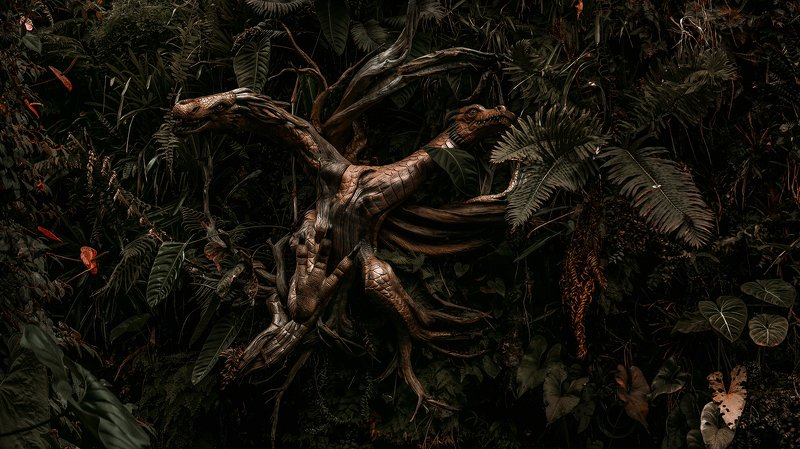 tree, nature, green, pine, forest, plant, branch, leaf, christmas, needles, winter, evergreen, fern, fresh, plants, moss, flora, rainforest, tropical, spruce, lush, leaves, trees, fir, wood, bird Gardens by the Bayphoto preview