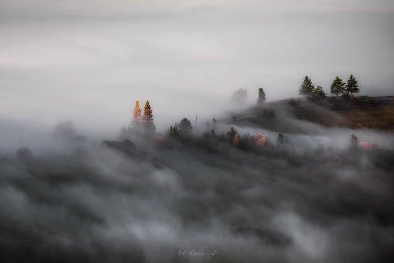 Wrapped in mist. фото превью