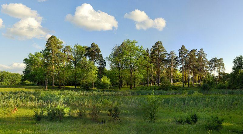 Feel so goodphoto preview