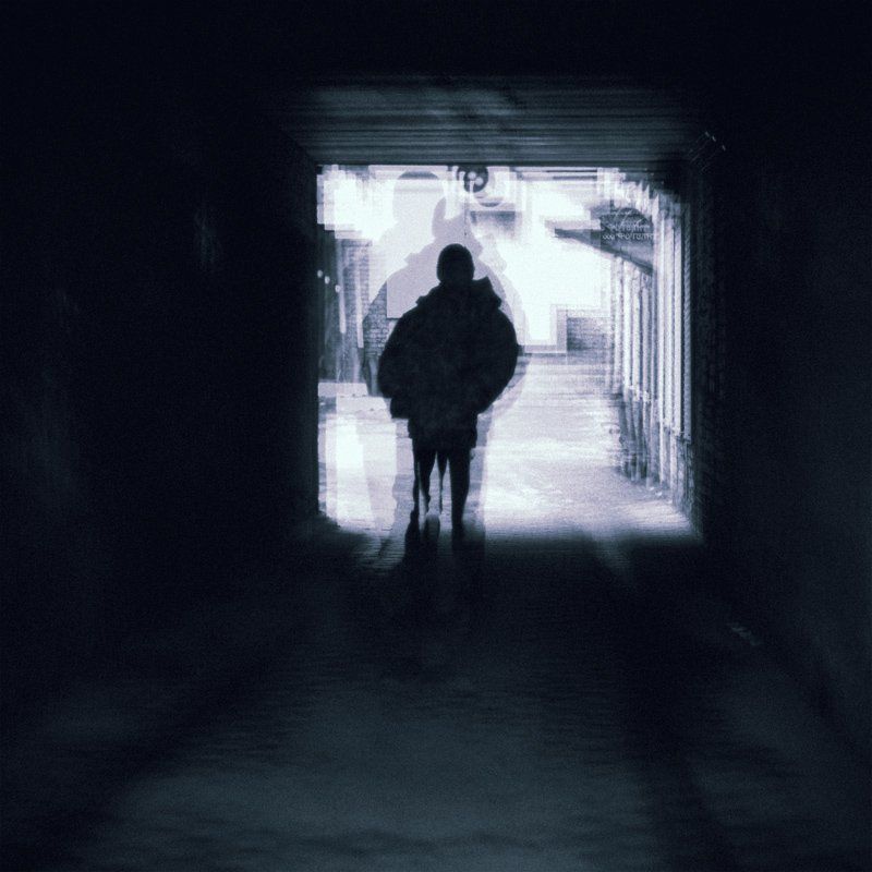 жанр, черно, белое Hide itself фото превью