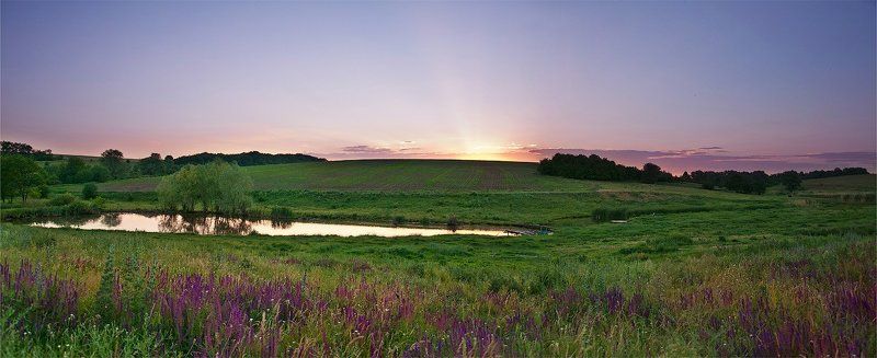 село, поле, ставок, закат, солнца, полевые, цветы Сельские  закатыphoto preview