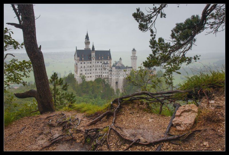 neuschwanstein, нойшванштайн,   германия,   бавария,   замок Лебединый Камень. Neuschwanstein...photo preview