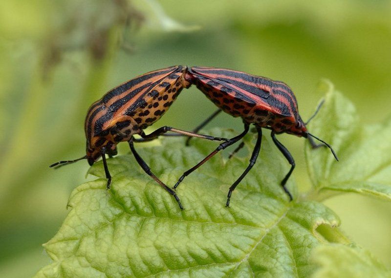 детям до 16....photo preview