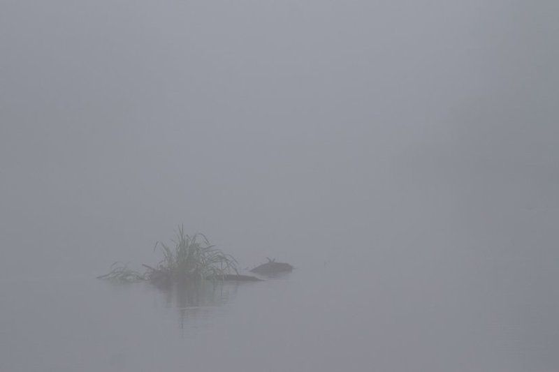 Раннее утро на Протвеphoto preview