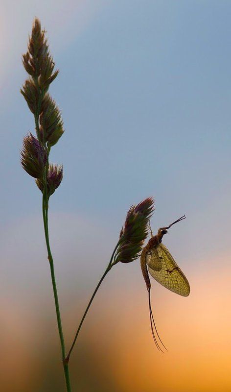 утренняя зарядкаphoto preview