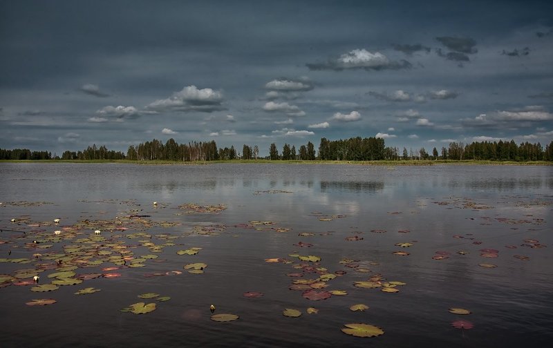 плыли по небе барашки...photo preview