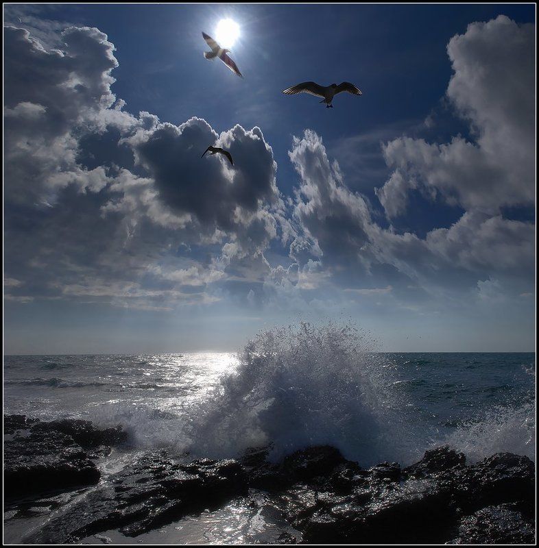 В бесконечном круженииphoto preview