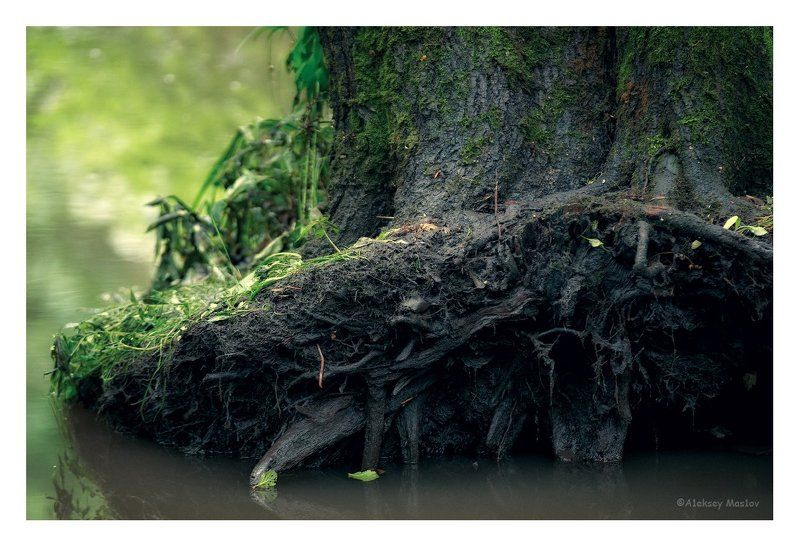 сплитphoto preview