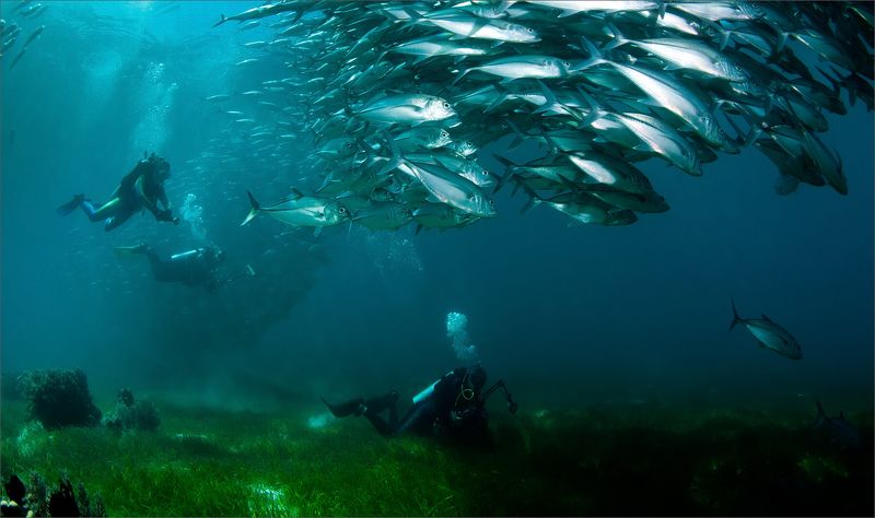 гдетотам Погнали наши городских ... фото превью