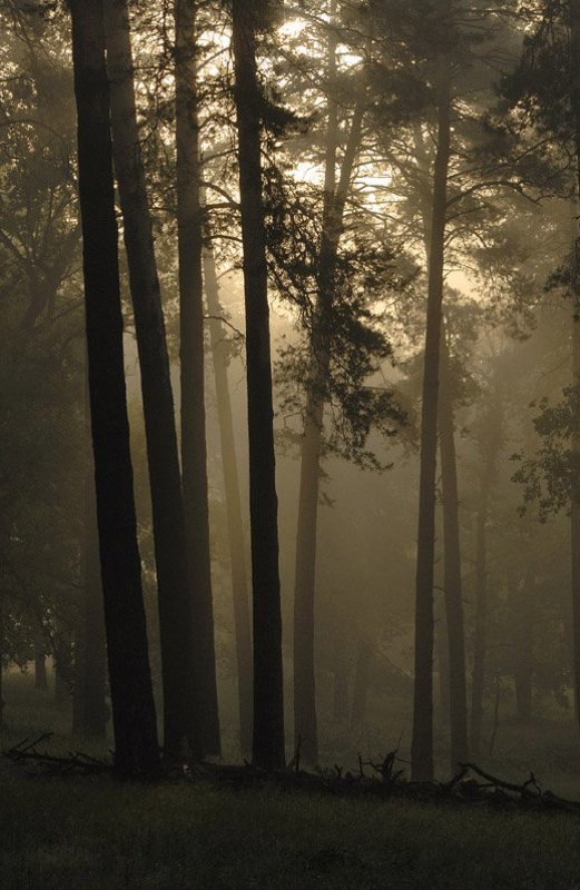 Lamentationphoto preview