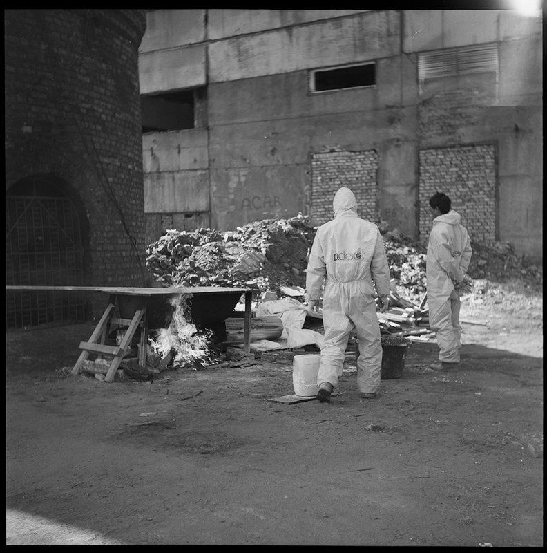 Жители нашего Городка фото превью