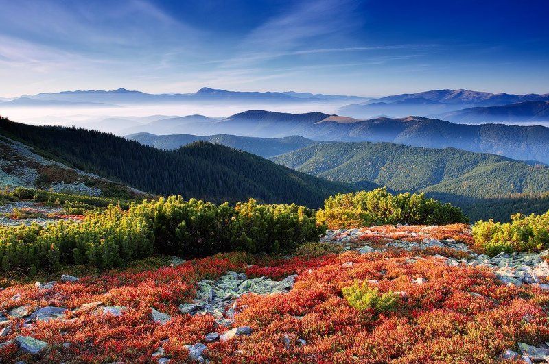 карпаты, горы, осень, черногора, горганы украина Прощание с осеньюphoto preview