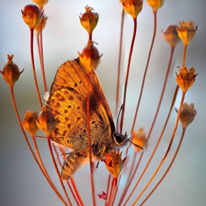 Вечерняя ..photo preview