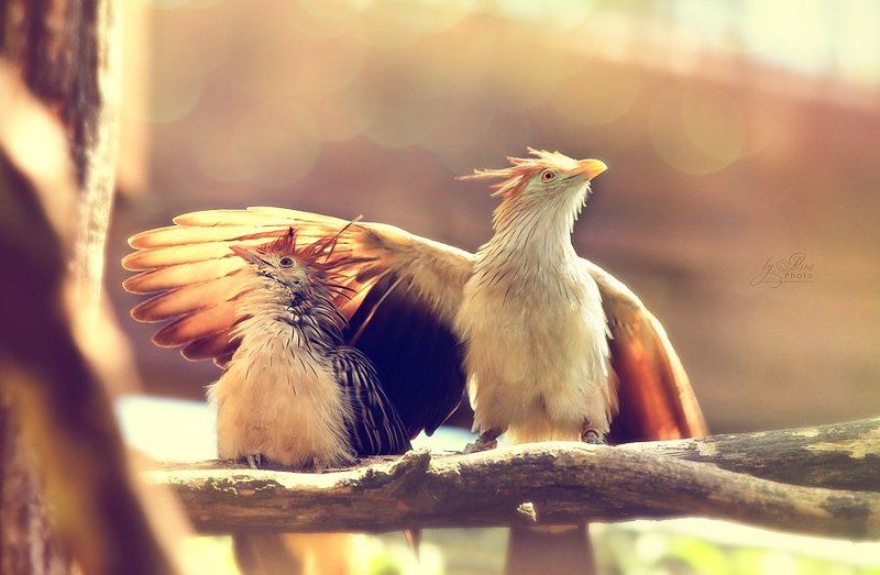 ...я рядомphoto preview