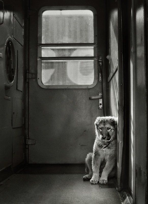 Судьба, или уже есть о чём подумать ...photo preview