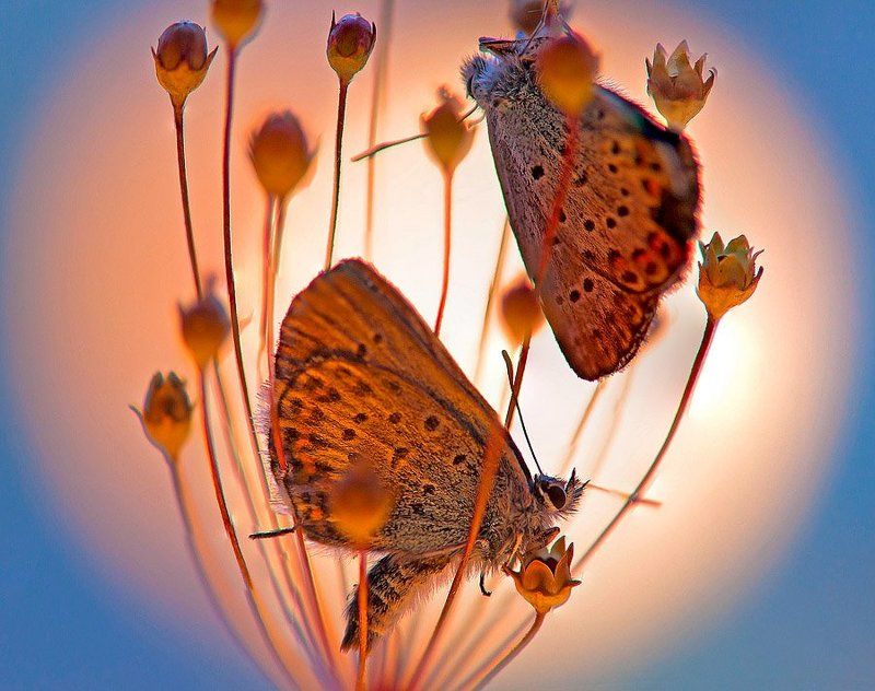 Беседы на ночь!!!photo preview