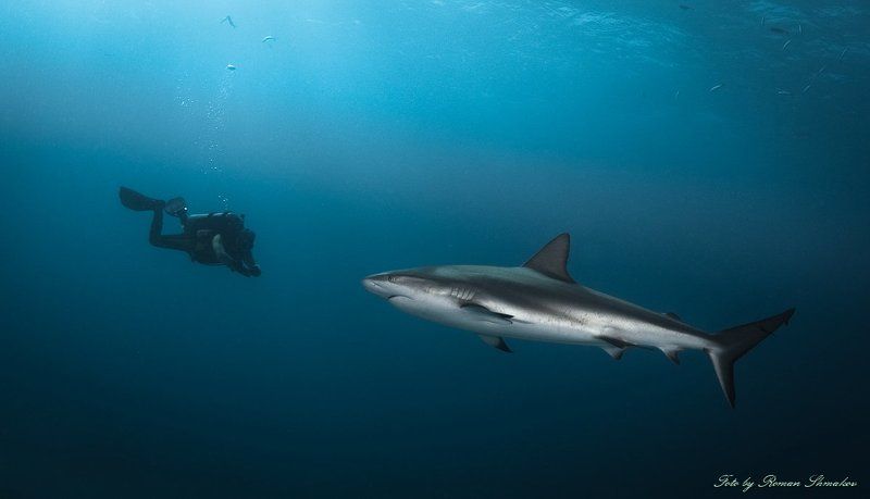 Лицом к лицуphoto preview