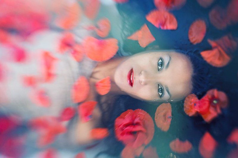 Wildflowerphoto preview