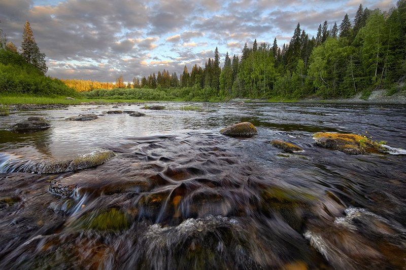 север, солза Таёжная речкаphoto preview