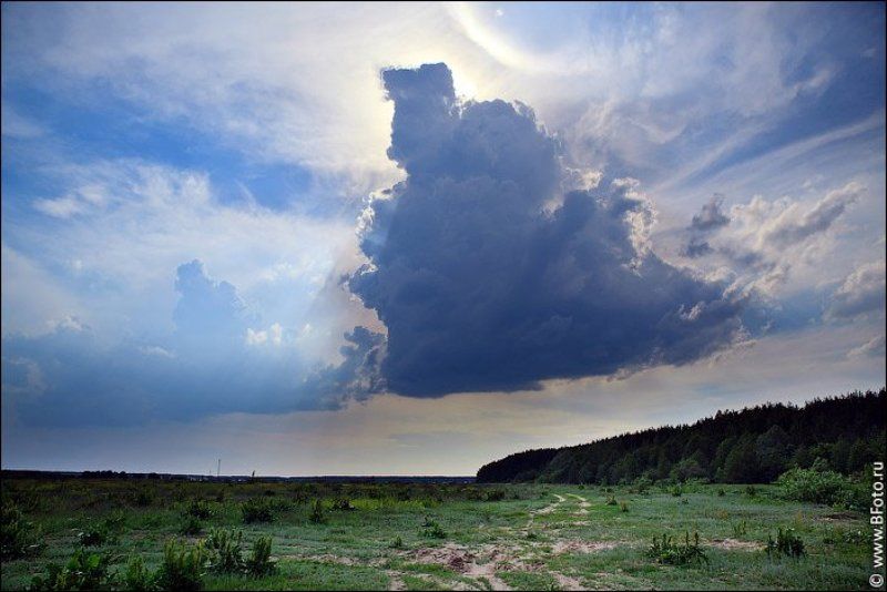 туча Тучаphoto preview