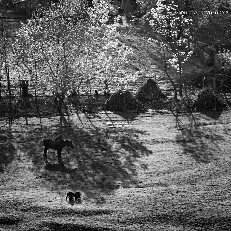 молдова, пейзаж, bolucevschi В тениphoto preview