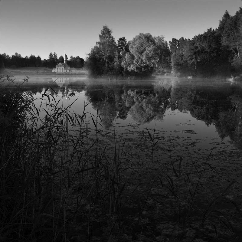 Летним утром на Чёрном озереphoto preview