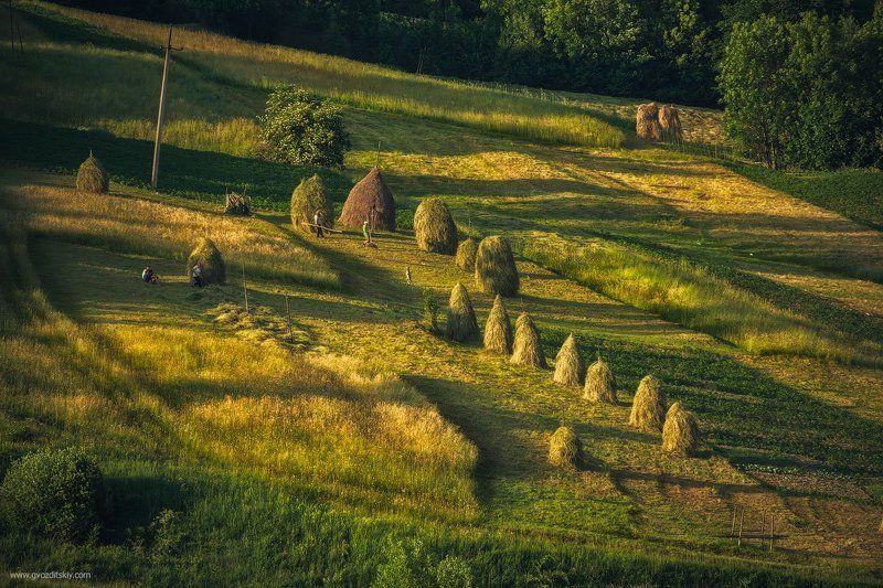 карпаты, пастораль, гуцулы, трава, сено, сенокос, скирды Карпатская пасторальphoto preview