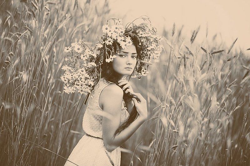 портрет,девушка,поле,цветы,лето ***photo preview