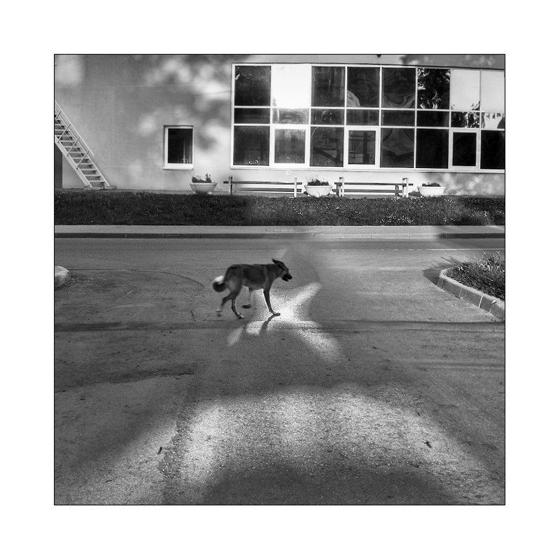 отражения, метафизика [xD]photo preview