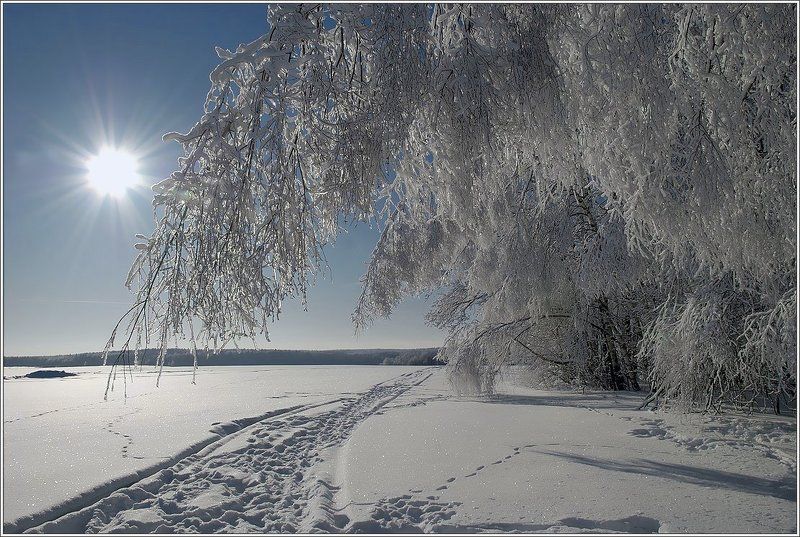 Белый деньphoto preview