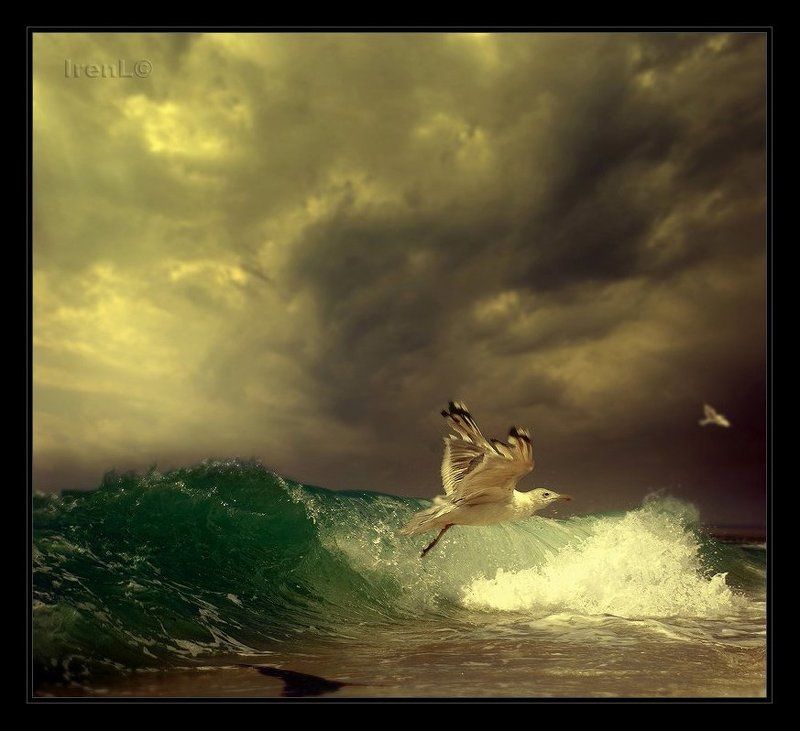 Штормовоеphoto preview