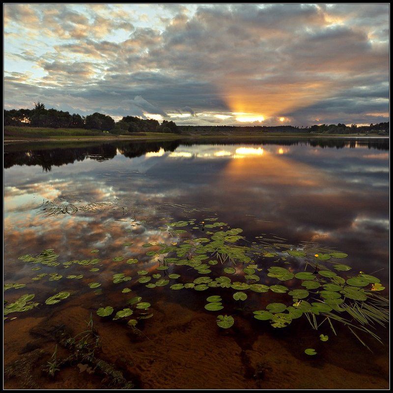 солнечный прожекторphoto preview