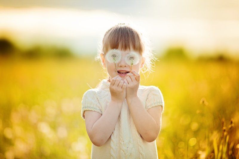 Одуванчикиphoto preview