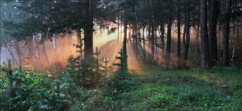 ПЕЙЗАЖИ ...и этюд фото превью