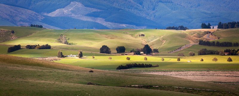 ПАСТОРАЛЬНАЯ СТОРОНА...photo preview